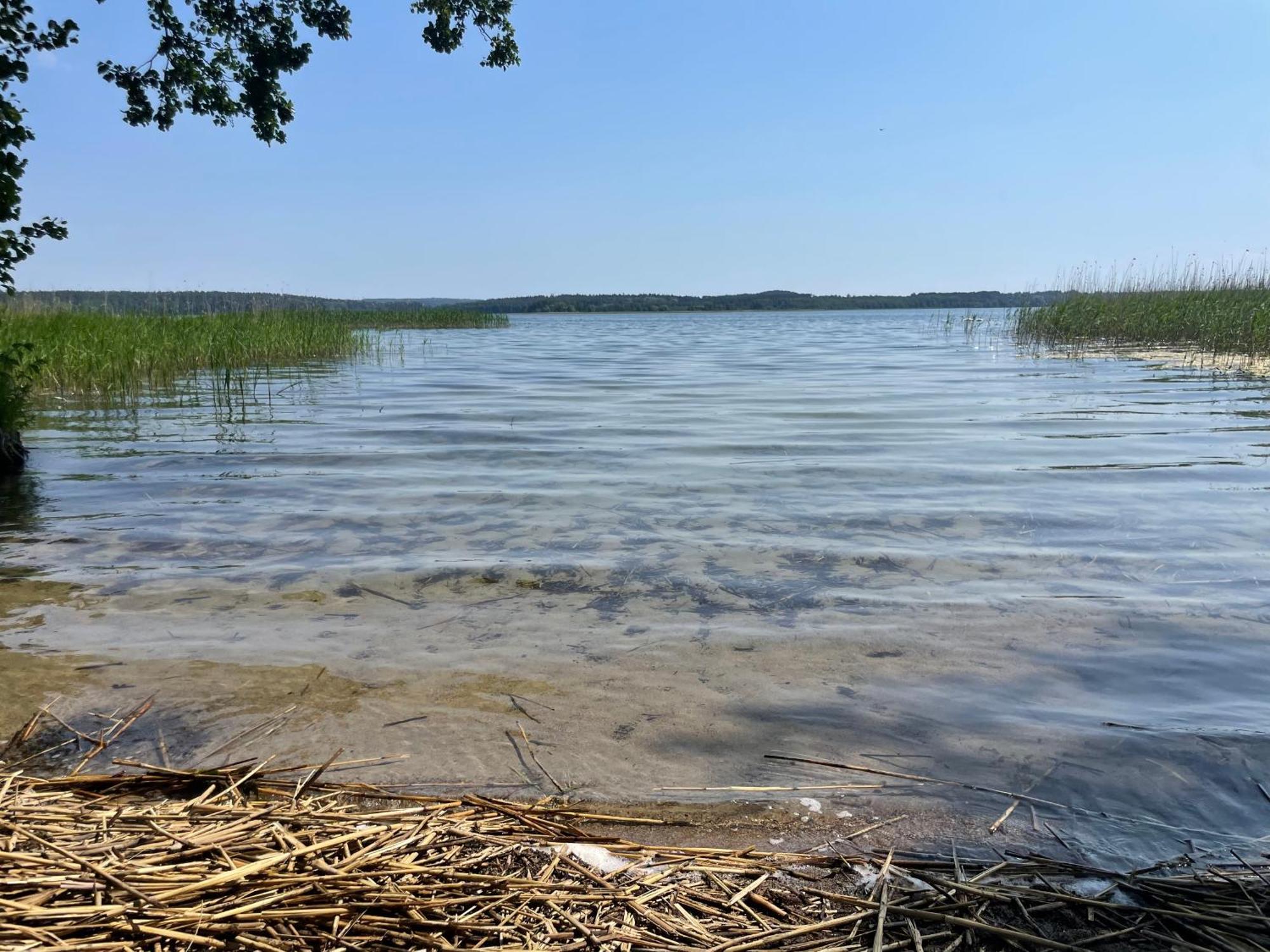 Gizycko-Przerwanki Domki Widok Na Mazury Экстерьер фото