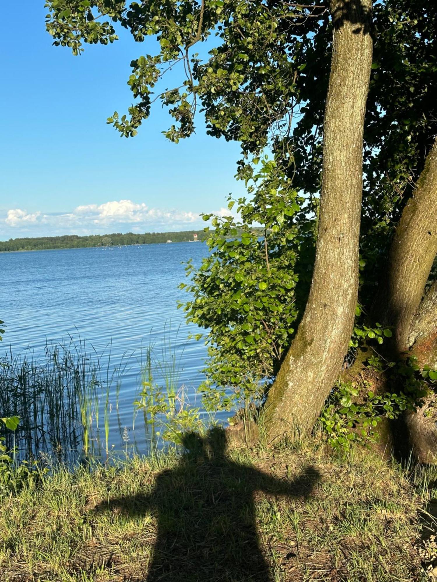 Gizycko-Przerwanki Domki Widok Na Mazury Экстерьер фото